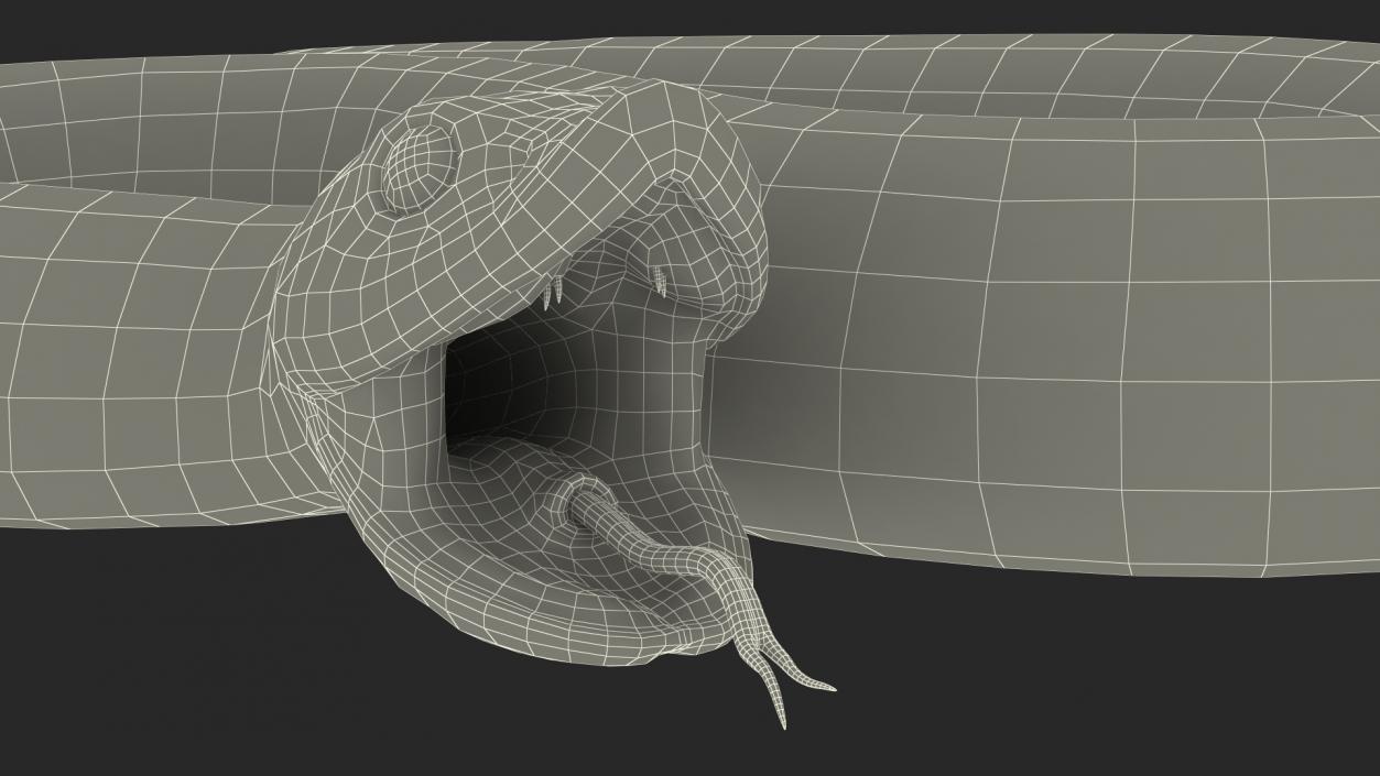 3D Beige Hognose Snake Attack Pose