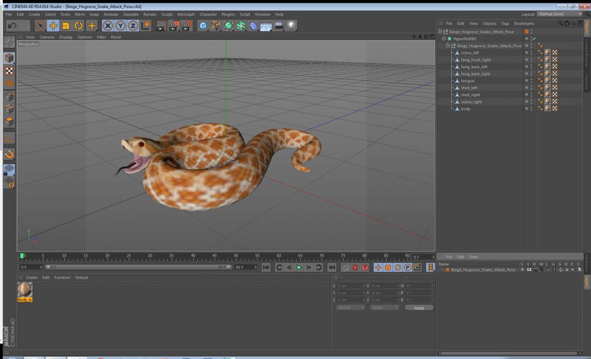 3D Beige Hognose Snake Attack Pose