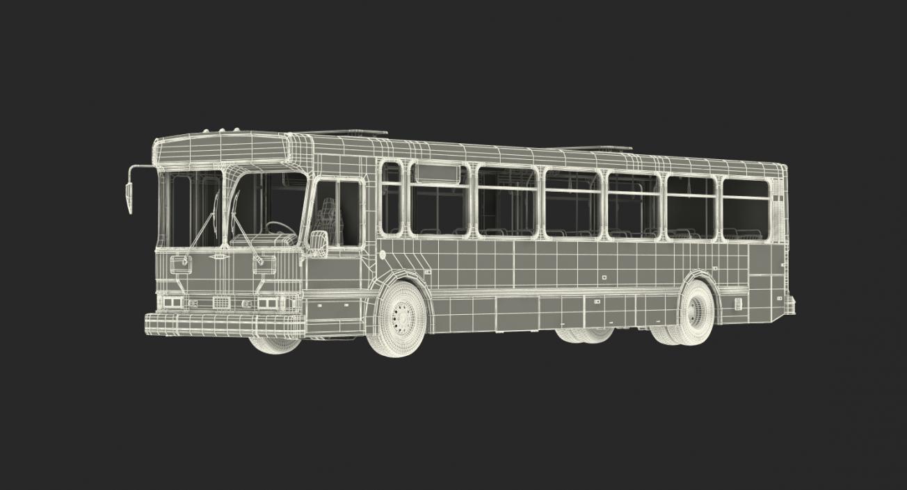 3D Buses Collection 7 model