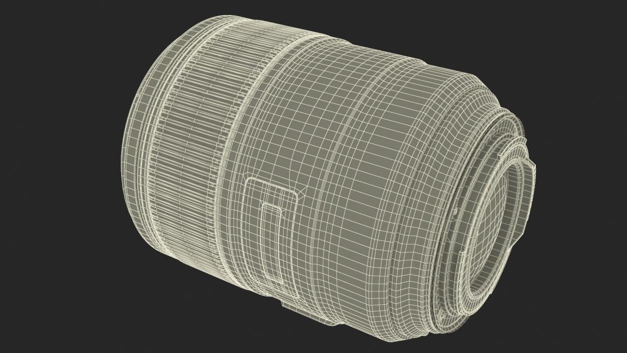 3D Portrait Lens model