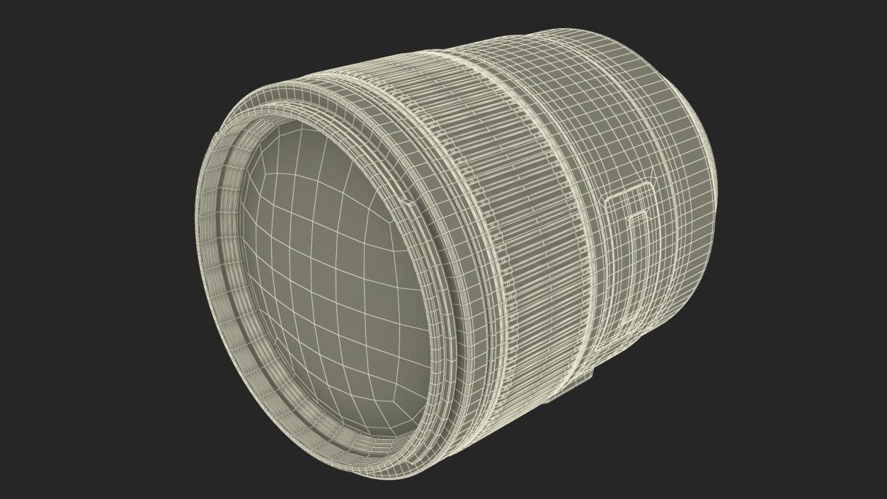 3D Portrait Lens model