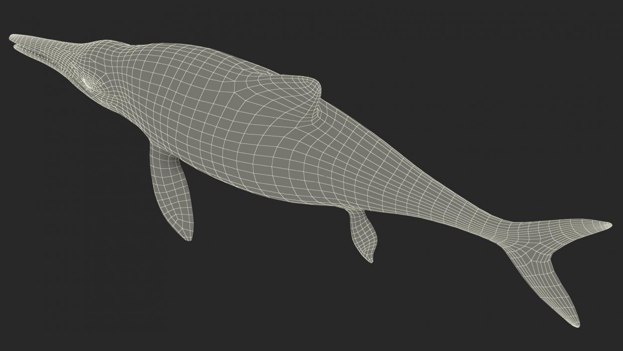 Ichthyosaur Rigged for Maya 3D