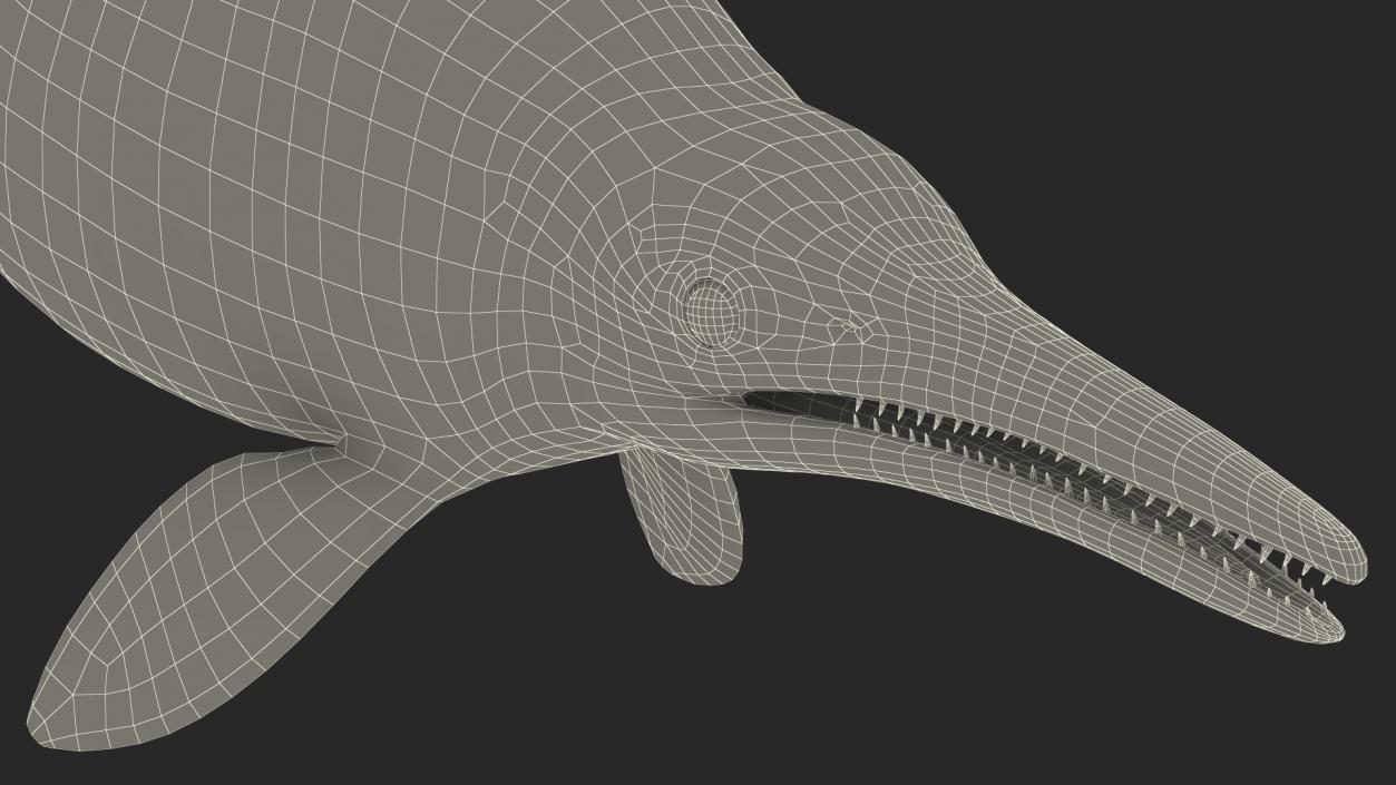 Ichthyosaur Rigged for Maya 3D