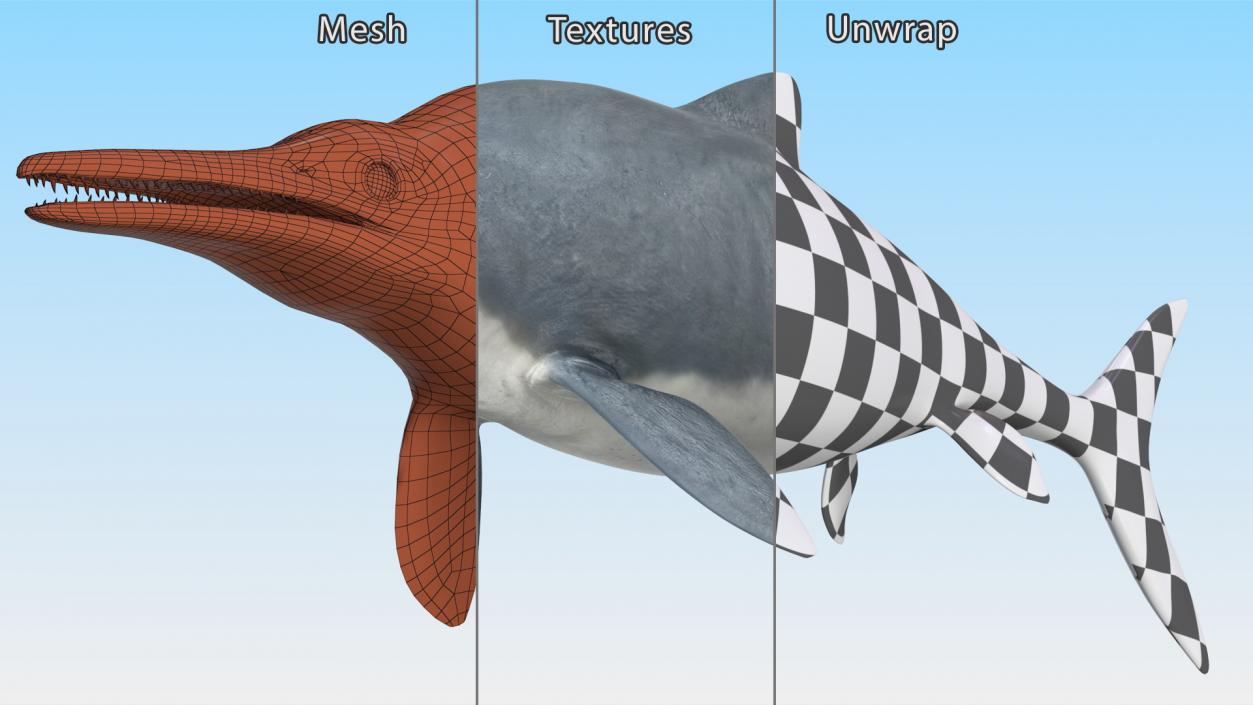 Ichthyosaur Rigged for Maya 3D