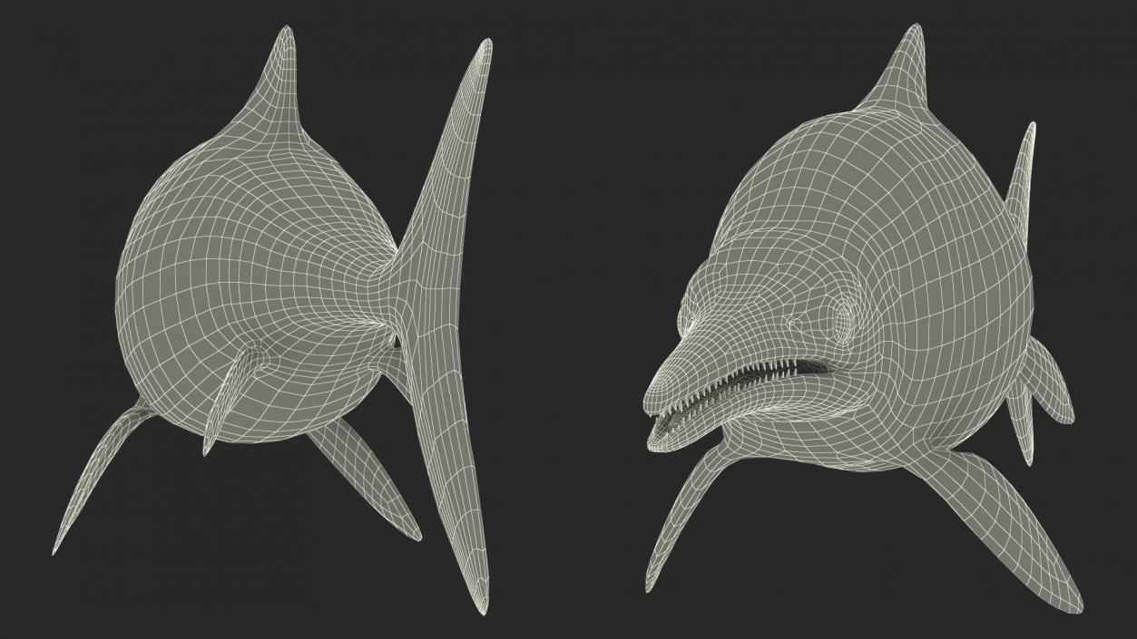 Ichthyosaur Rigged for Maya 3D