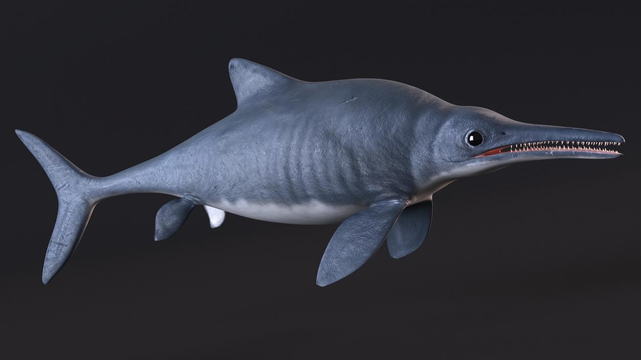 Ichthyosaur Rigged for Maya 3D