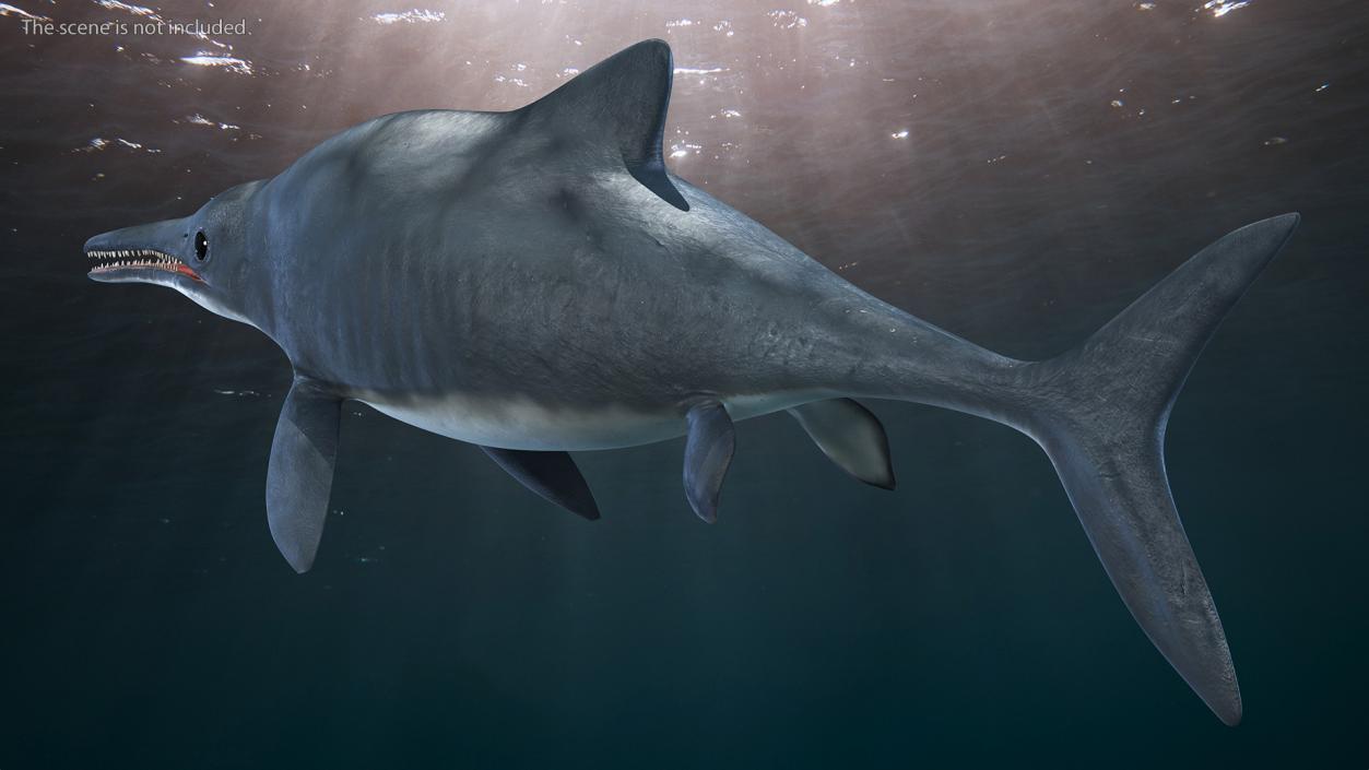 Ichthyosaur Rigged for Maya 3D