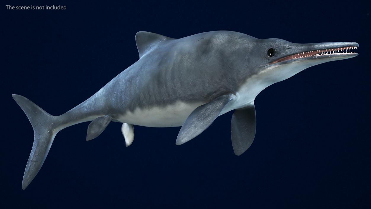 Ichthyosaur Rigged for Maya 3D