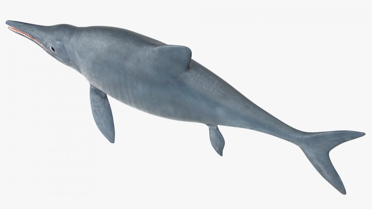 Ichthyosaur Rigged for Maya 3D