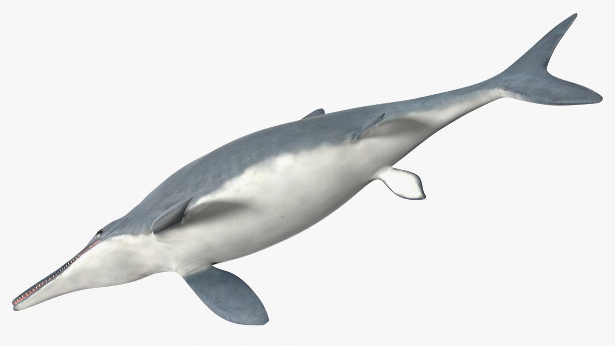 Ichthyosaur Rigged for Maya 3D