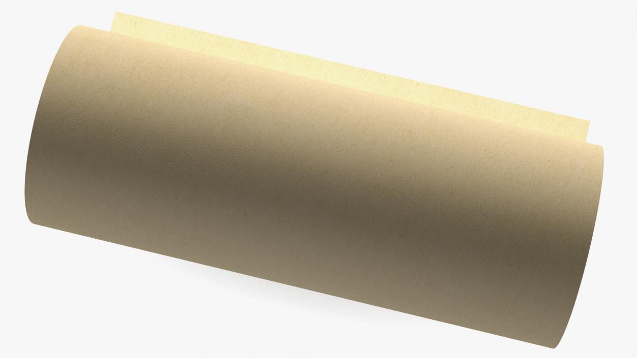 Eco Kraft Wrapping Paper Roll 3D model