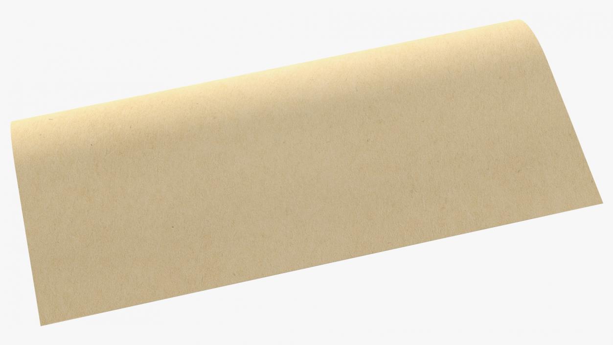 Eco Kraft Wrapping Paper Roll 3D model