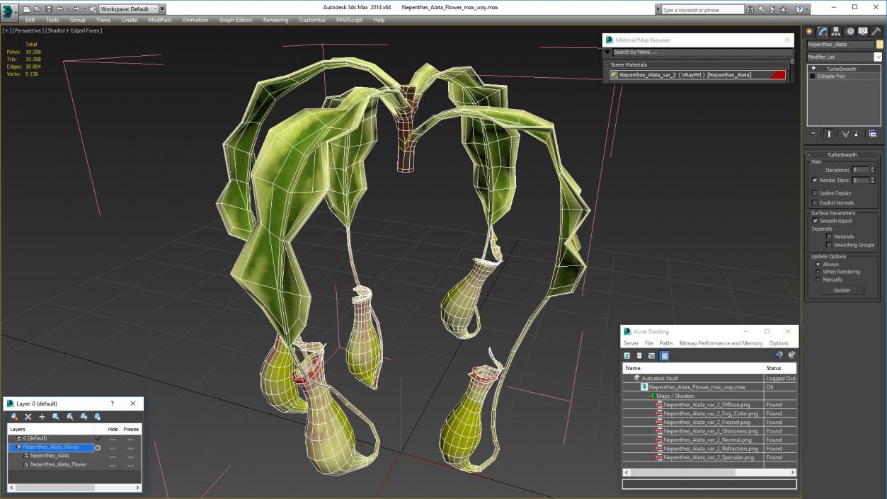 Nepenthes Alata Flower 3D