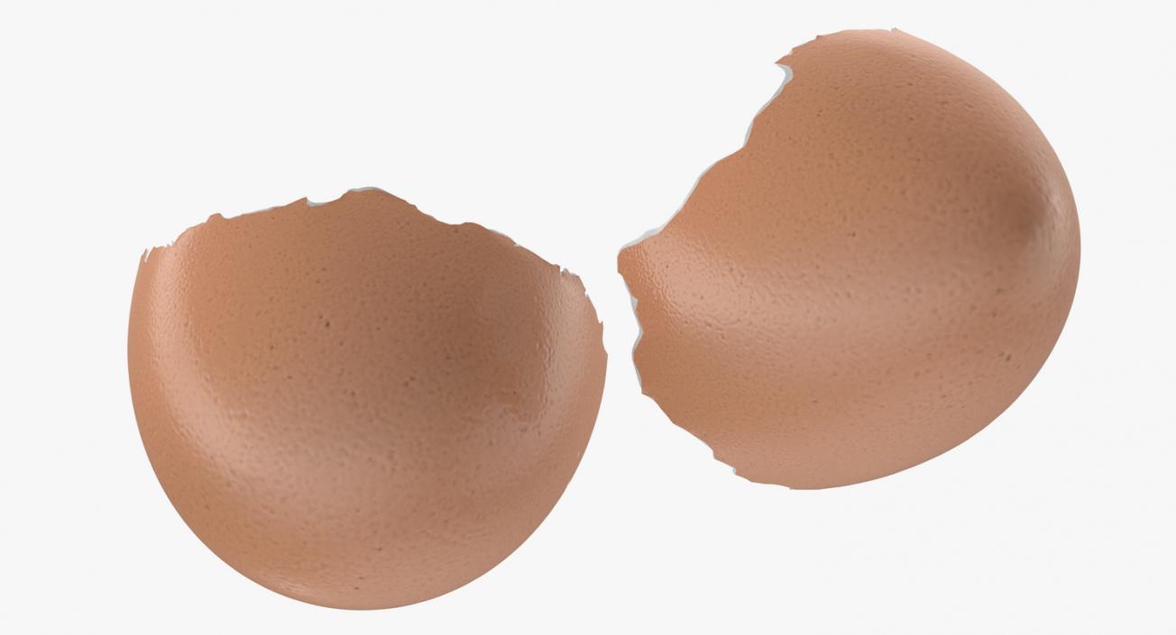 Broken Chicken Egg Shell 3D model