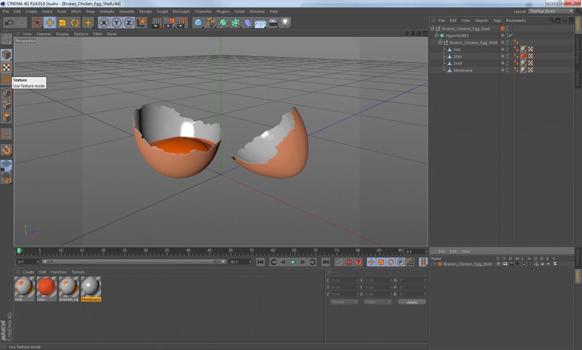 Broken Chicken Egg Shell 3D model