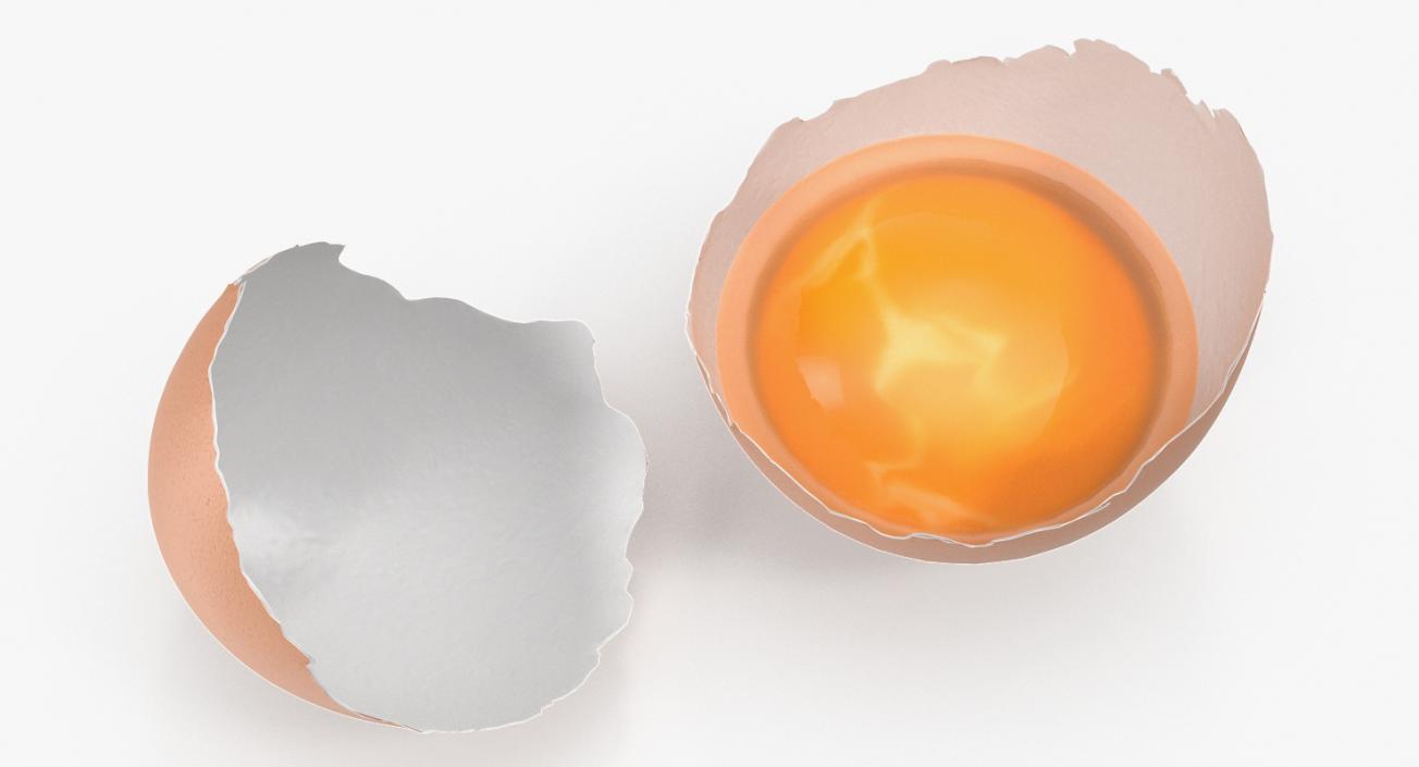 Broken Chicken Egg Shell 3D model