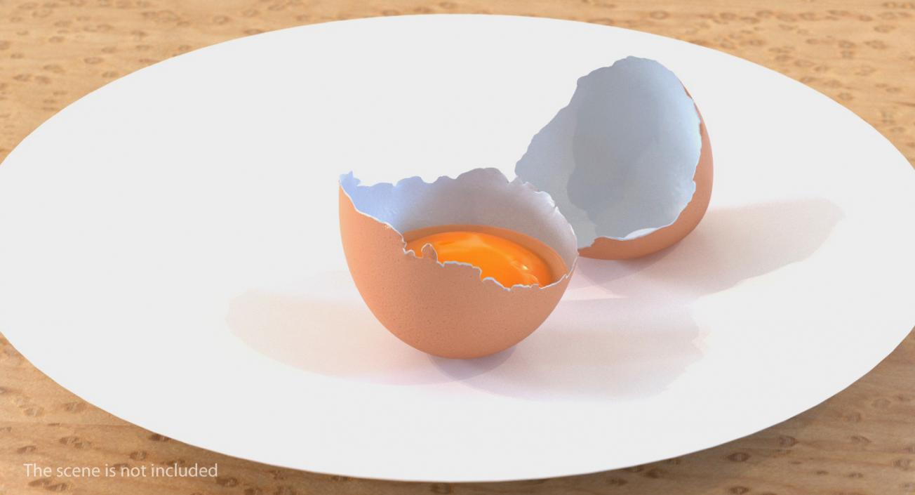 Broken Chicken Egg Shell 3D model