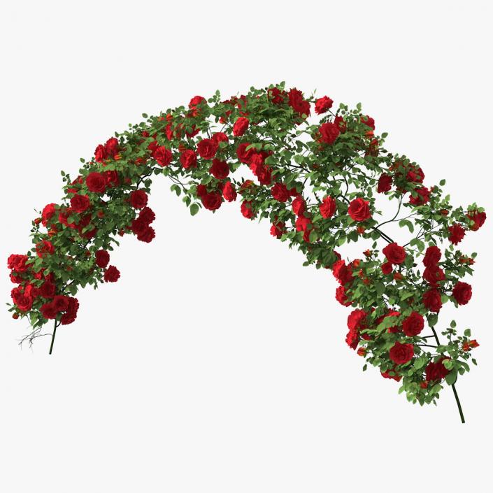 3D Branch Curly Roses model