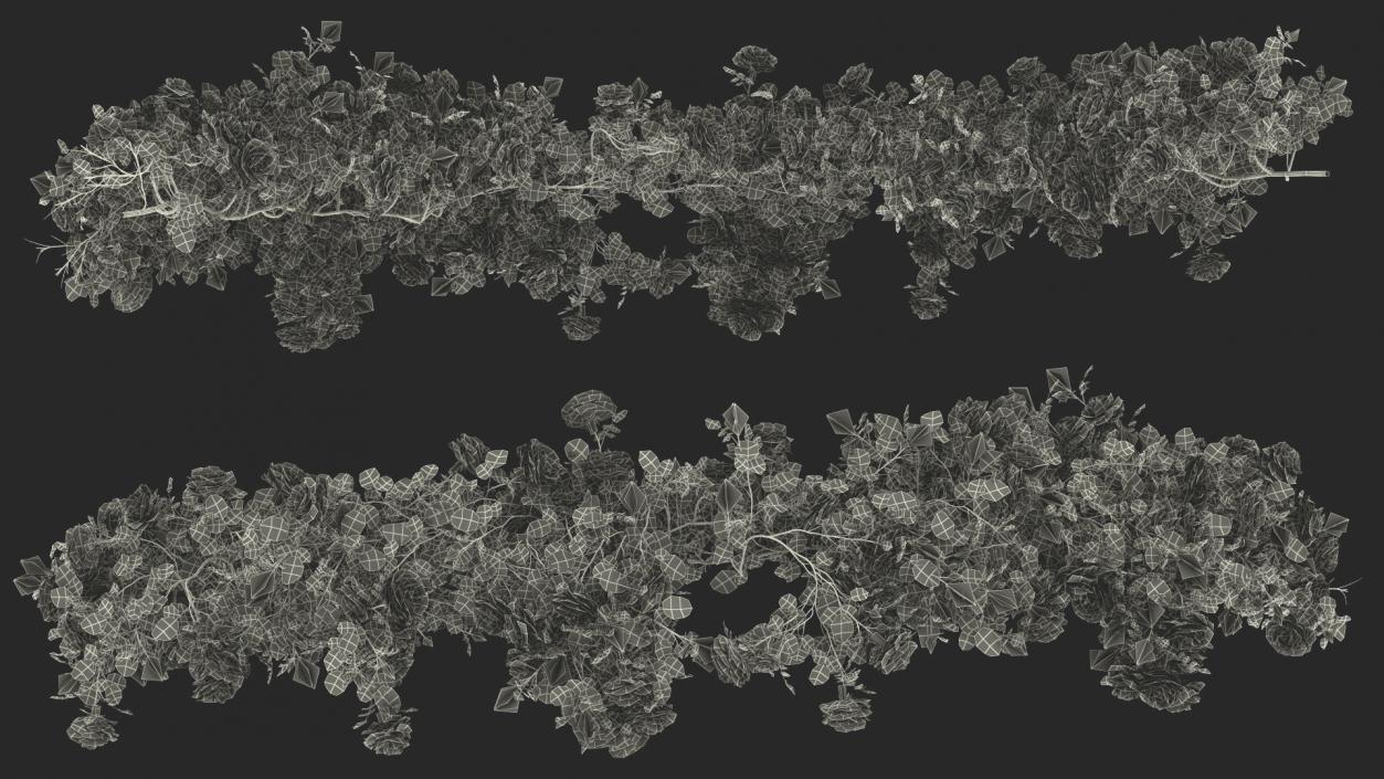 3D Branch Curly Roses model