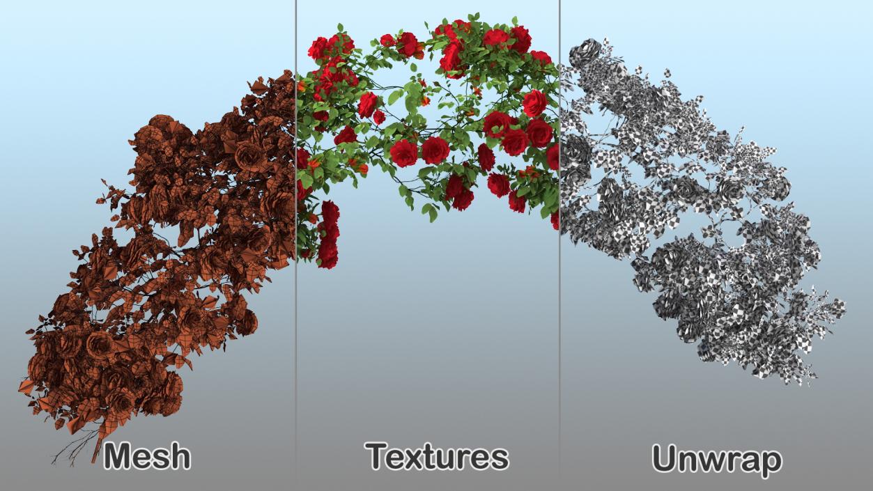 3D Branch Curly Roses model