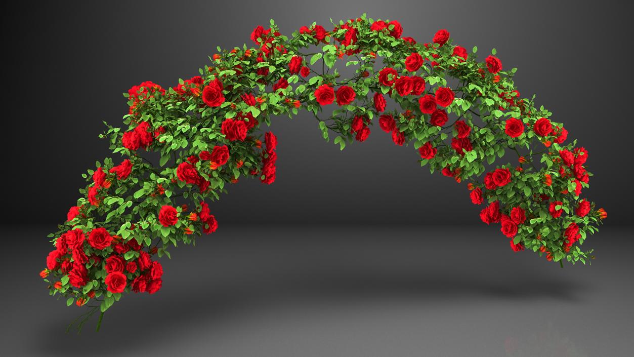 3D Branch Curly Roses model