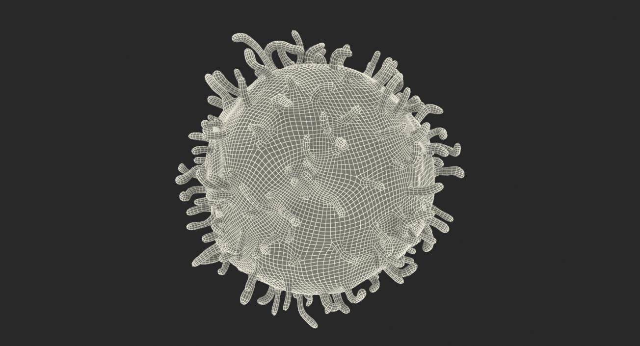 3D model Lymphocyte