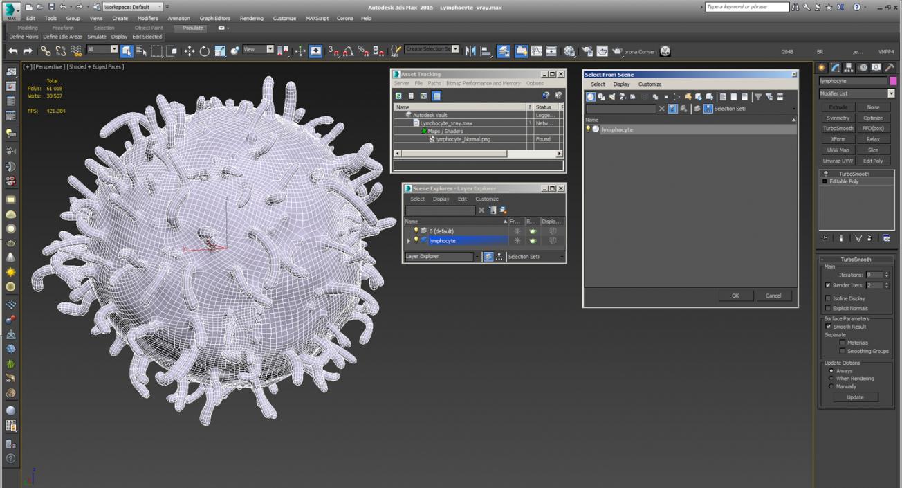 3D model Lymphocyte