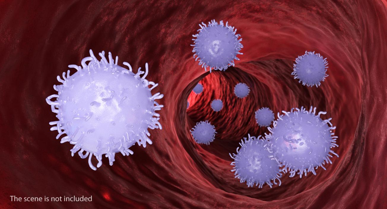 3D model Lymphocyte