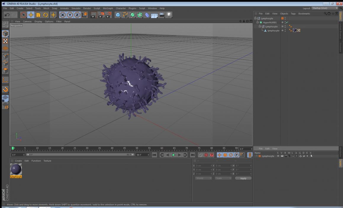 3D model Lymphocyte