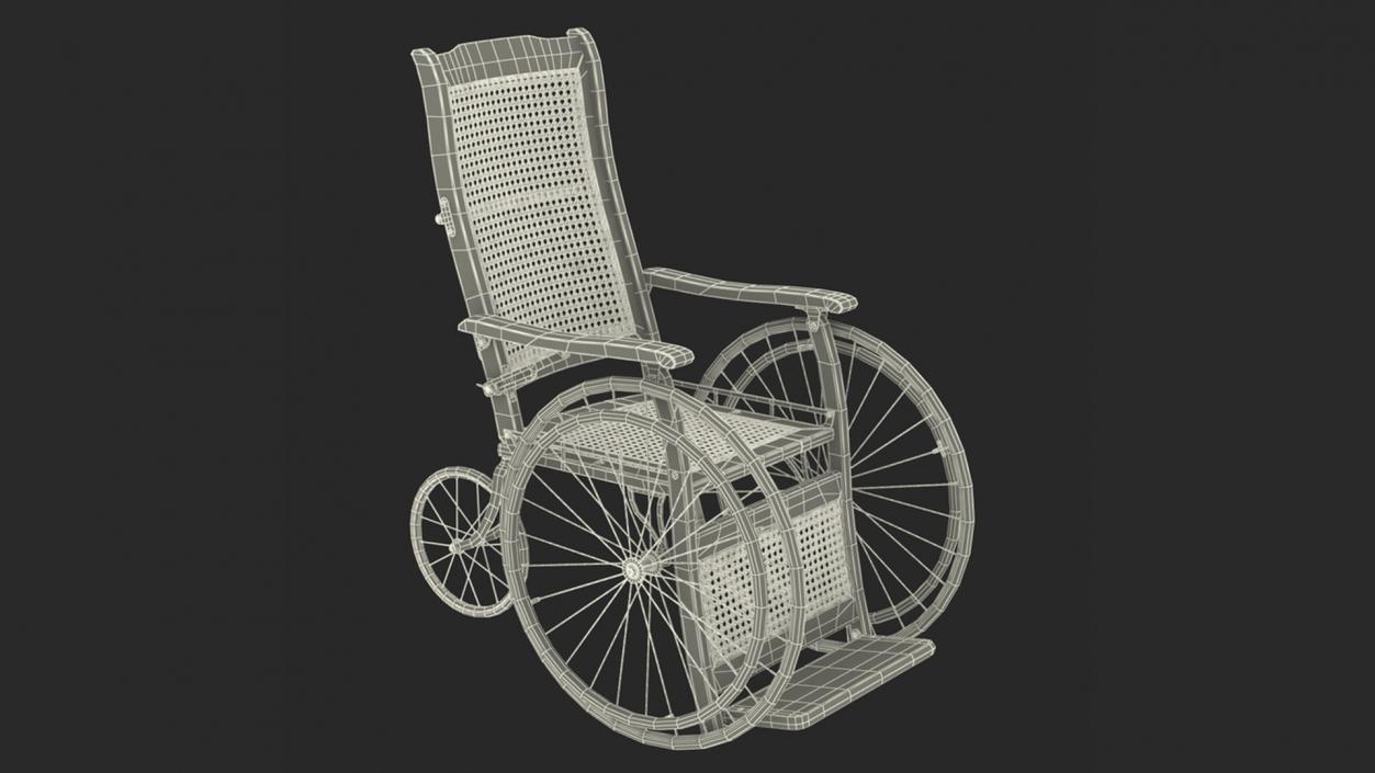 Rigged Elderly Woman with Wheelchair Collection 3D