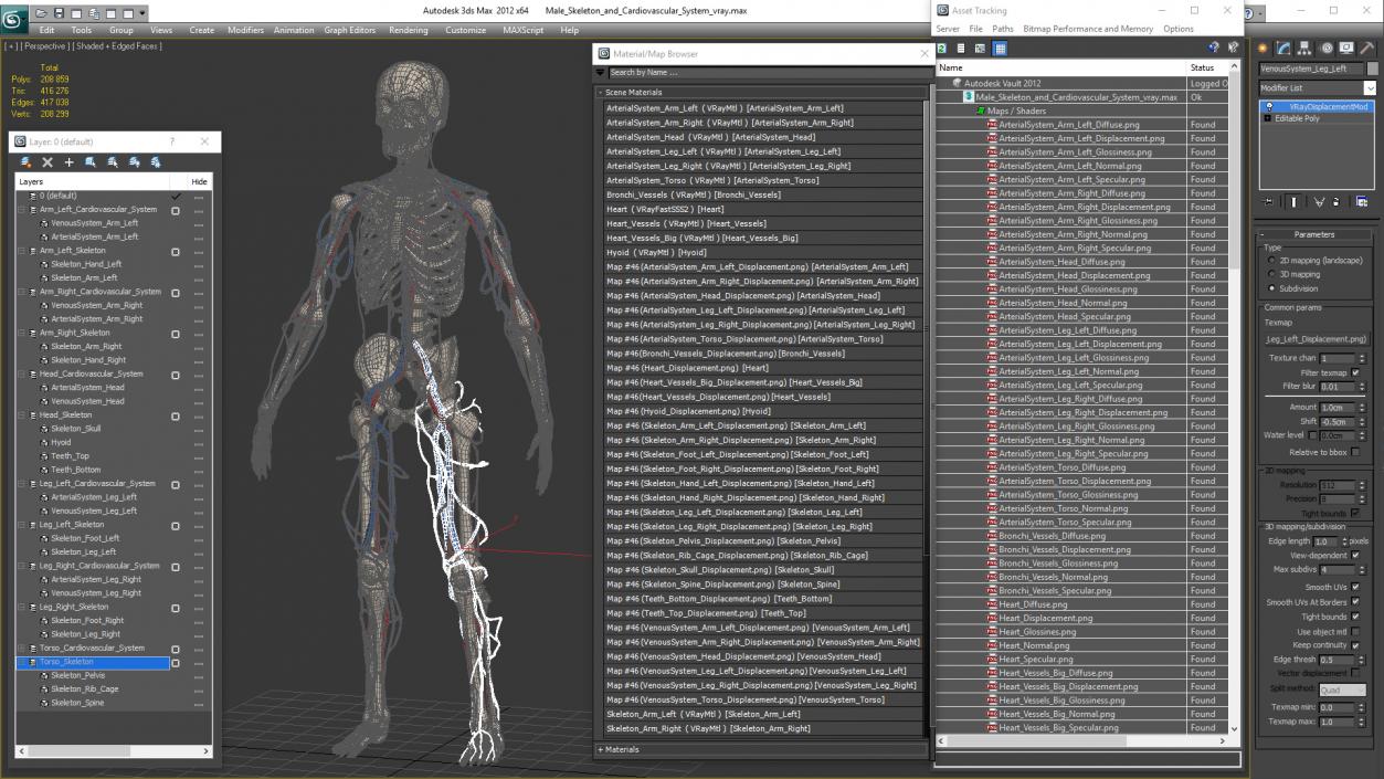 Male Skeleton and Cardiovascular System 3D model