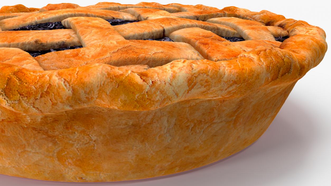 3D Blueberry Lattice Pie