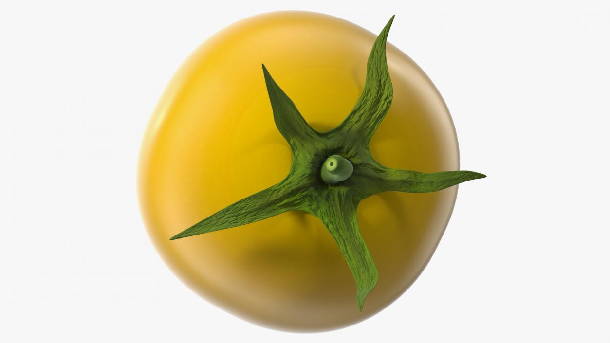 3D model Yellow Cherry Tomato