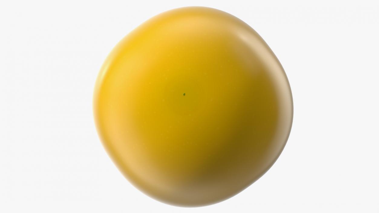 3D model Yellow Cherry Tomato