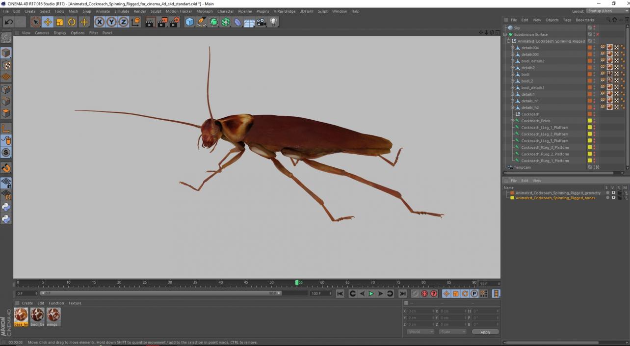 3D Animated Cockroach Spinning Rigged for Cinema 4D model