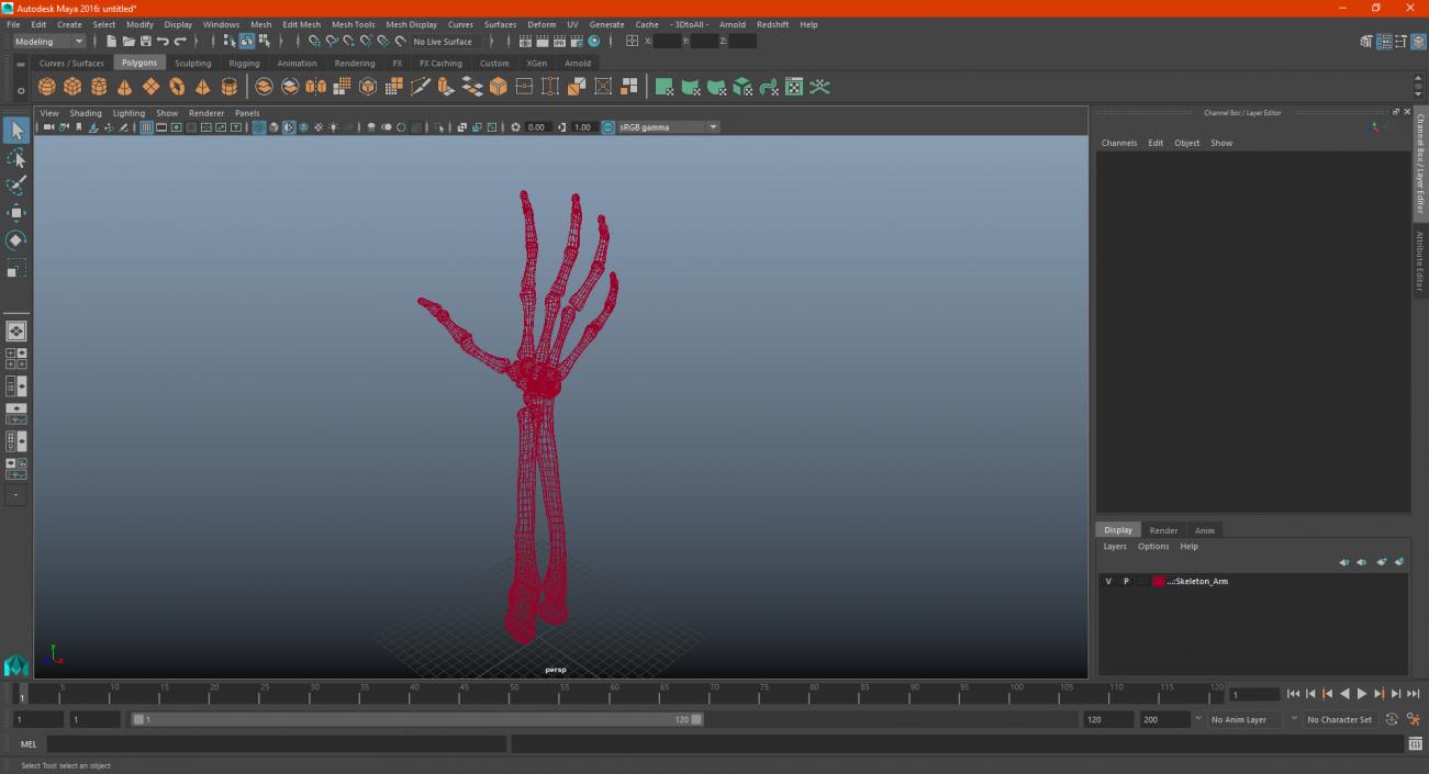 Skeleton Arm 3D