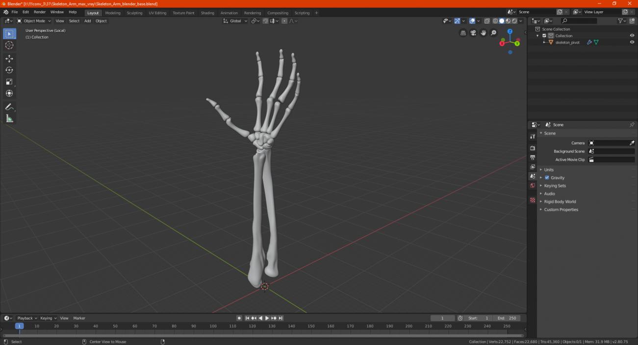 Skeleton Arm 3D