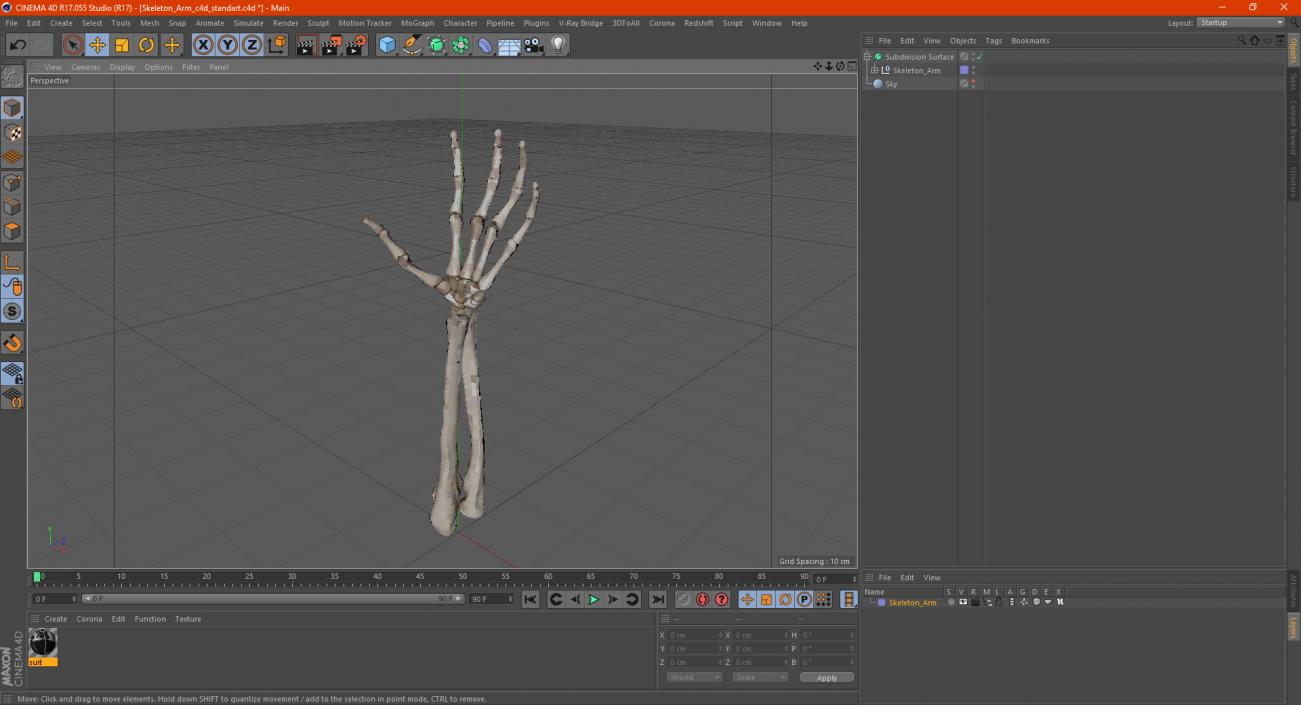 Skeleton Arm 3D