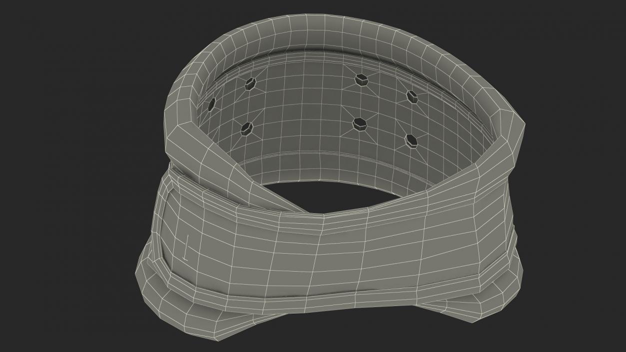 3D Schanz Collar model