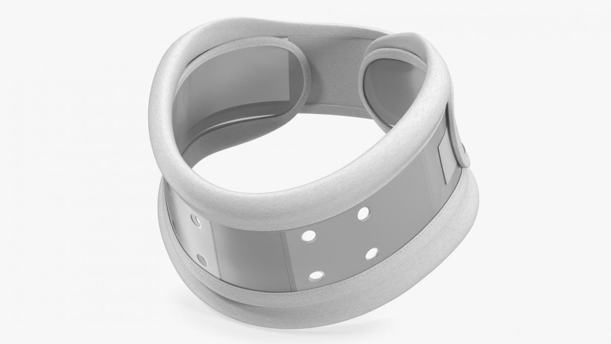 3D Schanz Collar model