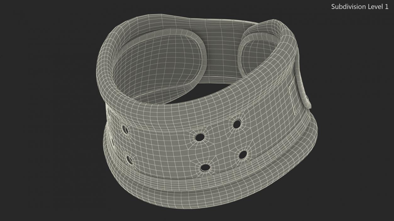 3D Schanz Collar model