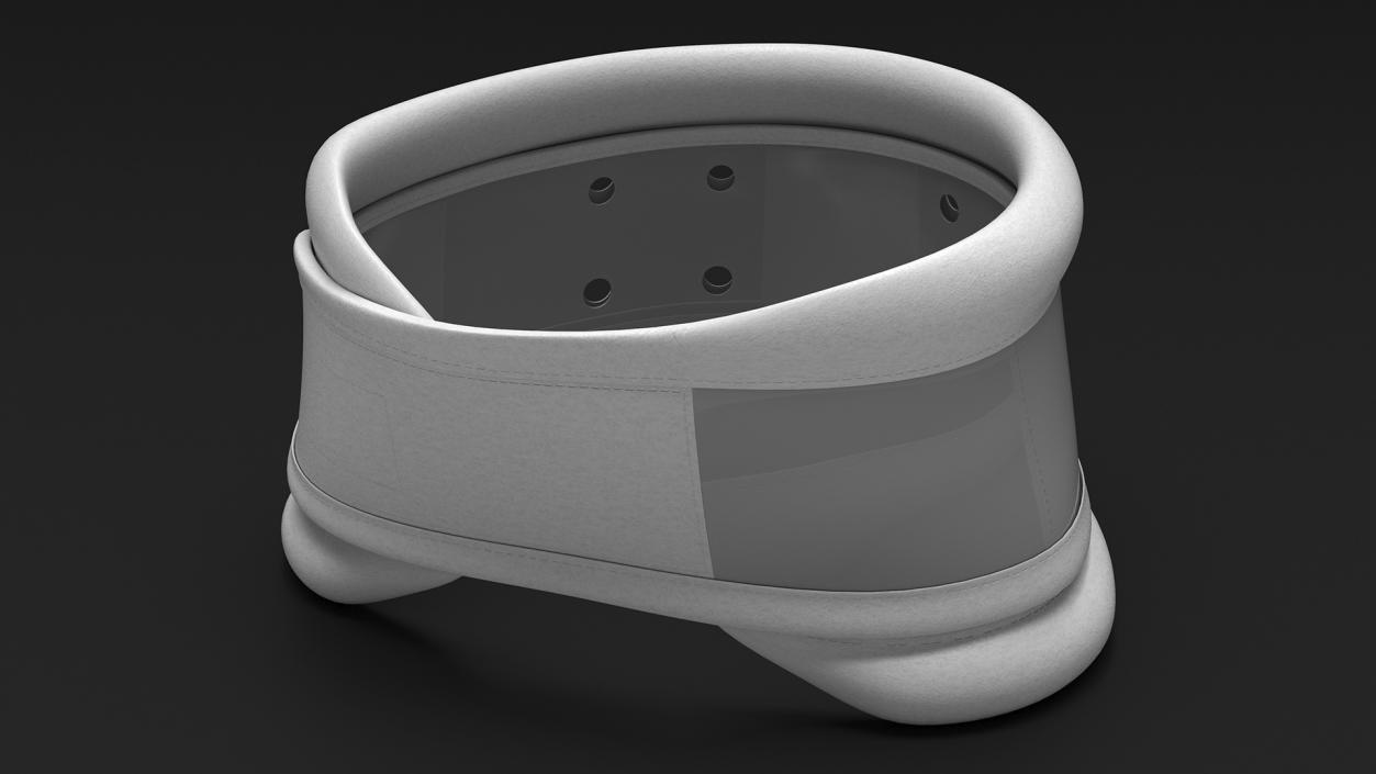 3D Schanz Collar model