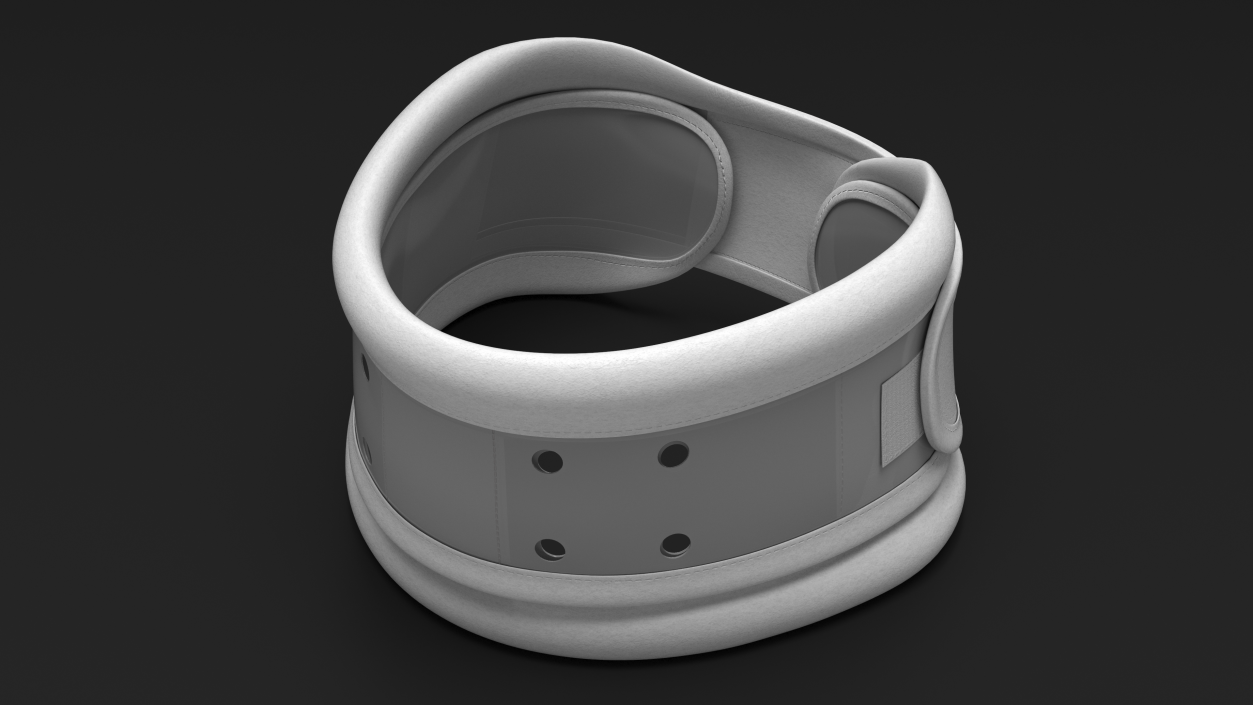 3D Schanz Collar model