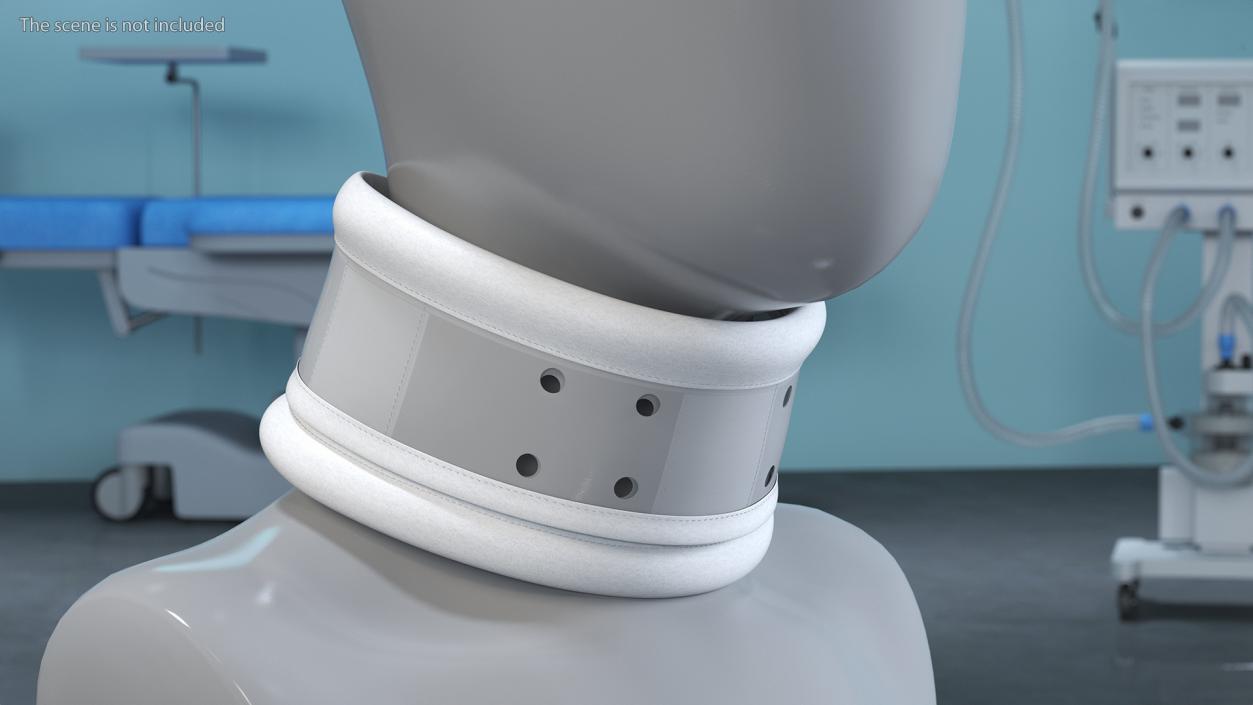 3D Schanz Collar model