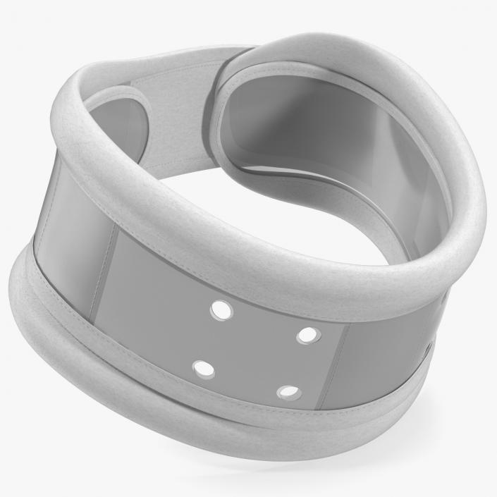 3D Schanz Collar model