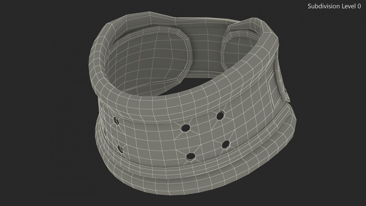 3D Schanz Collar model