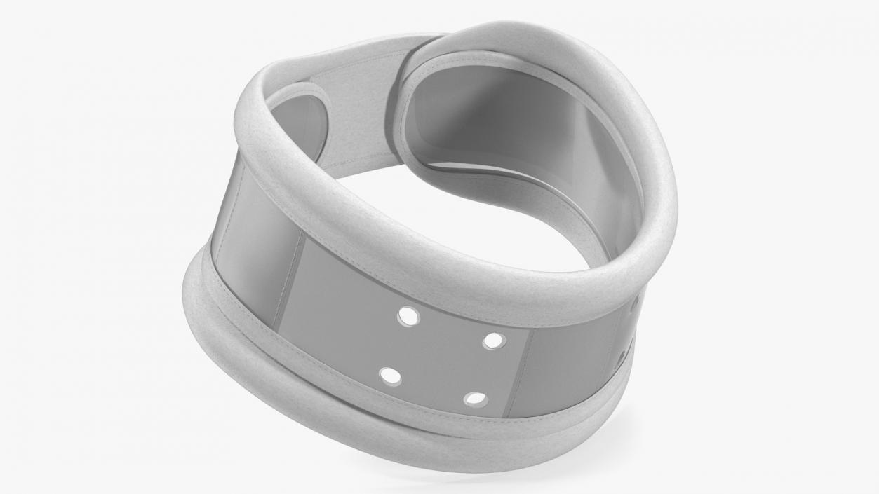 3D Schanz Collar model