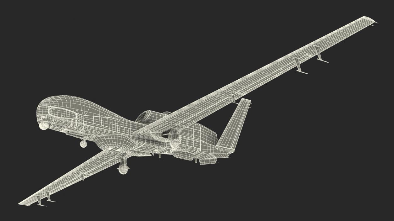 3D Long-range Reconnaissance UAV 2