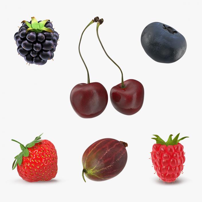 3D Berries Collection model