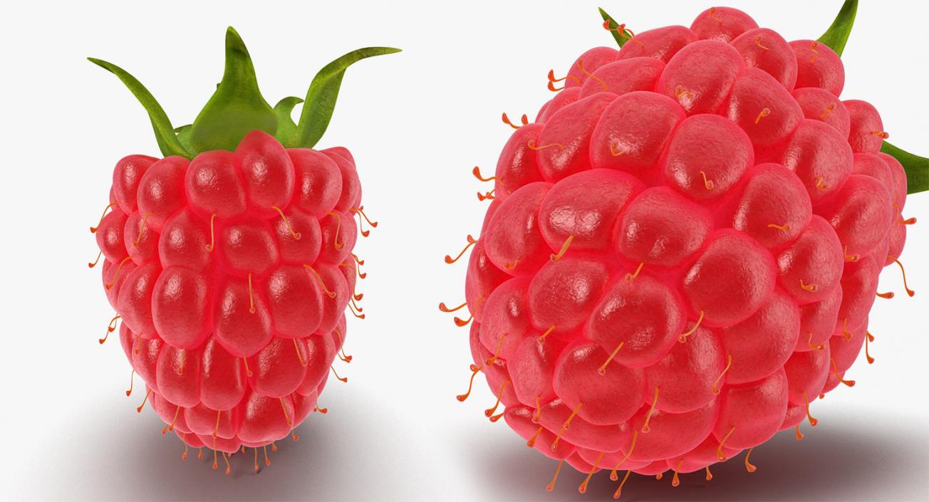 3D Berries Collection model